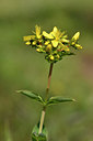 BUITEN BEELD Foto: 296857
