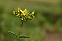 BUITEN BEELD Foto: 296858