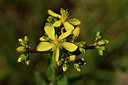 BUITEN BEELD Foto: 296860
