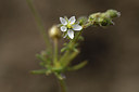 BUITEN BEELD Foto: 296863