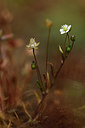 BUITEN BEELD Foto: 296864