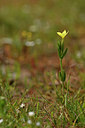BUITEN BEELD Foto: 296868
