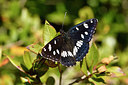 BUITEN BEELD Foto: 296878