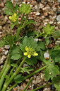 BUITEN BEELD Foto: 296880