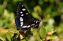 BUITEN BEELD Foto: 296887
