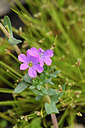 BUITEN BEELD Foto: 296901