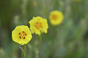 BUITEN BEELD Foto: 296932