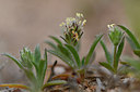 BUITEN BEELD Foto: 296934
