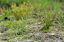 BUITEN BEELD Foto: 296949