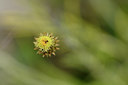 BUITEN BEELD Foto: 296956