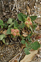 BUITEN BEELD Foto: 296957