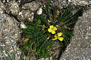 BUITEN BEELD Foto: 296987