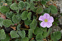 BUITEN BEELD Foto: 296989
