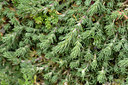 BUITEN BEELD Foto: 296998