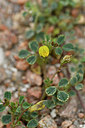 BUITEN BEELD Foto: 297004