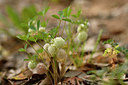 BUITEN BEELD Foto: 297037