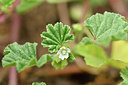BUITEN BEELD Foto: 297043
