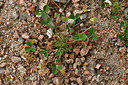 BUITEN BEELD Foto: 297053