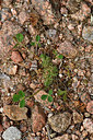 BUITEN BEELD Foto: 297054