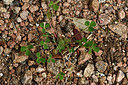 BUITEN BEELD Foto: 297055