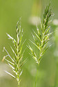 BUITEN BEELD Foto: 297094