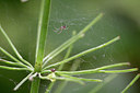 BUITEN BEELD Foto: 297098