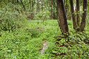 BUITEN BEELD Foto: 297101