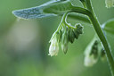 BUITEN BEELD Foto: 297126