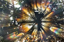 BUITEN BEELD Foto: 297140