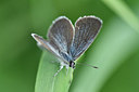 BUITEN BEELD Foto: 297278