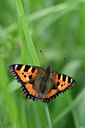 BUITEN BEELD Foto: 297279