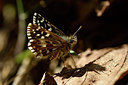 BUITEN BEELD Foto: 297311
