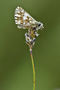 BUITEN BEELD Foto: 297314