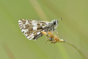 BUITEN BEELD Foto: 297315