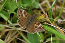 BUITEN BEELD Foto: 297317