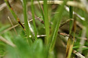 BUITEN BEELD Foto: 297322