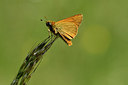 BUITEN BEELD Foto: 297335