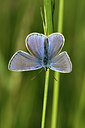 BUITEN BEELD Foto: 297345