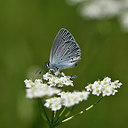 BUITEN BEELD Foto: 297356