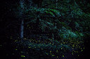 BUITEN BEELD Foto: 297368