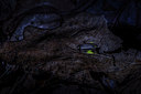 BUITEN BEELD Foto: 297369