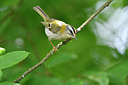 BUITEN BEELD Foto: 297429