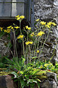 BUITEN BEELD Foto: 297440
