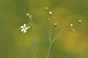 BUITEN BEELD Foto: 297446