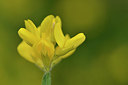 BUITEN BEELD Foto: 297461
