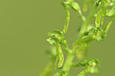 BUITEN BEELD Foto: 297467