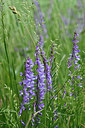 BUITEN BEELD Foto: 297482