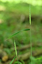 BUITEN BEELD Foto: 297487