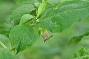 BUITEN BEELD Foto: 297512
