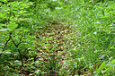 BUITEN BEELD Foto: 297517